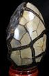 Septarian Dragon Egg Geode - Black Calcite Crystals #34699-3